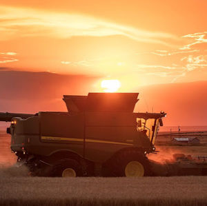 Meet your Posher, Ella